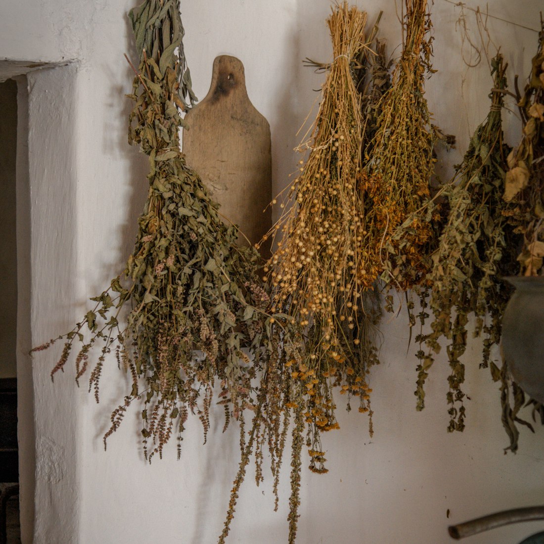 Herbes séchées pour les formules saisonnières